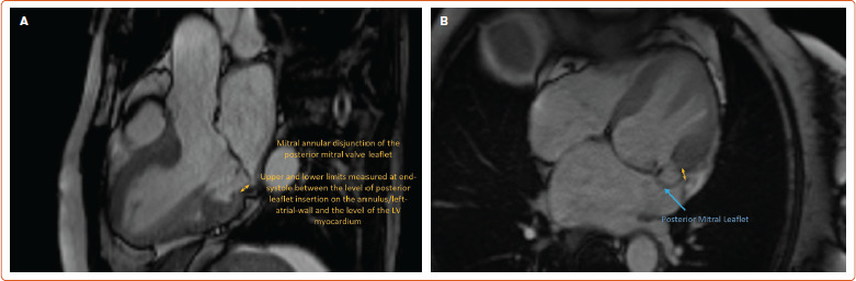 Figure 3: