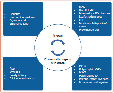 Figure 4: