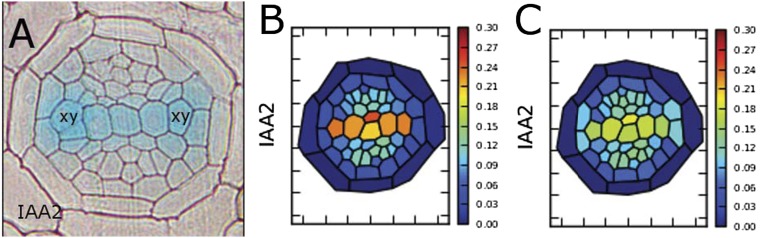 Fig. 2.