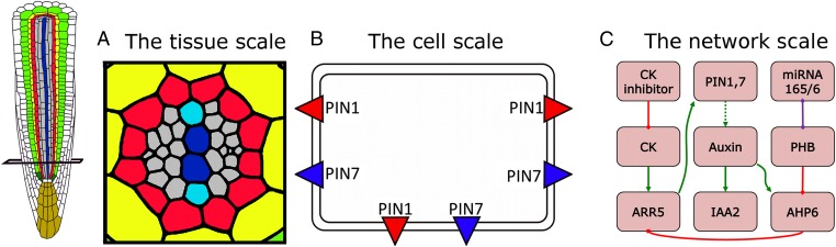 Fig. 1.