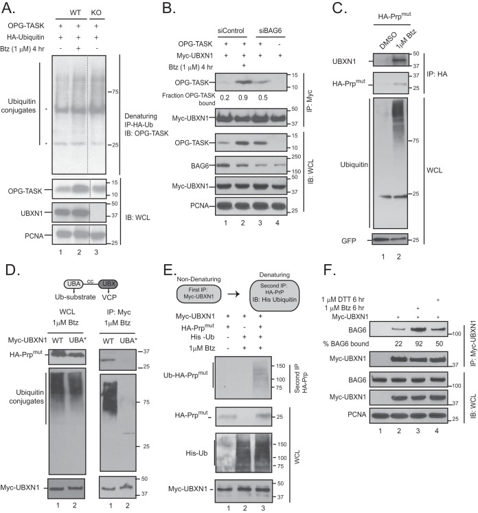 FIG 6