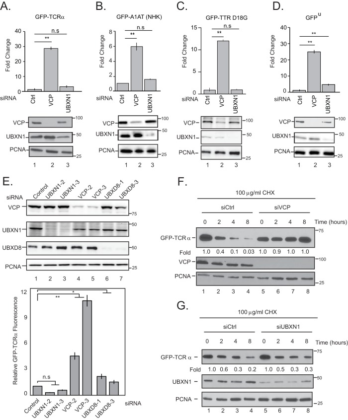 FIG 2