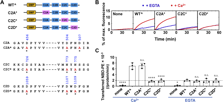 Figure 4