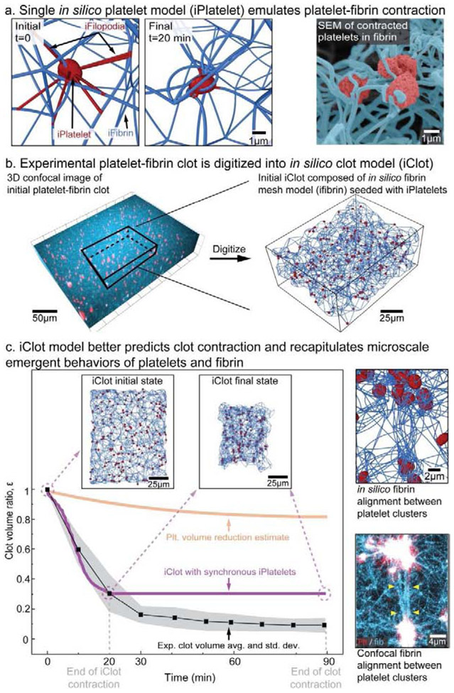 Figure 2: