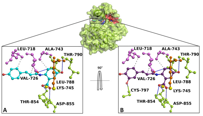 Figure 10