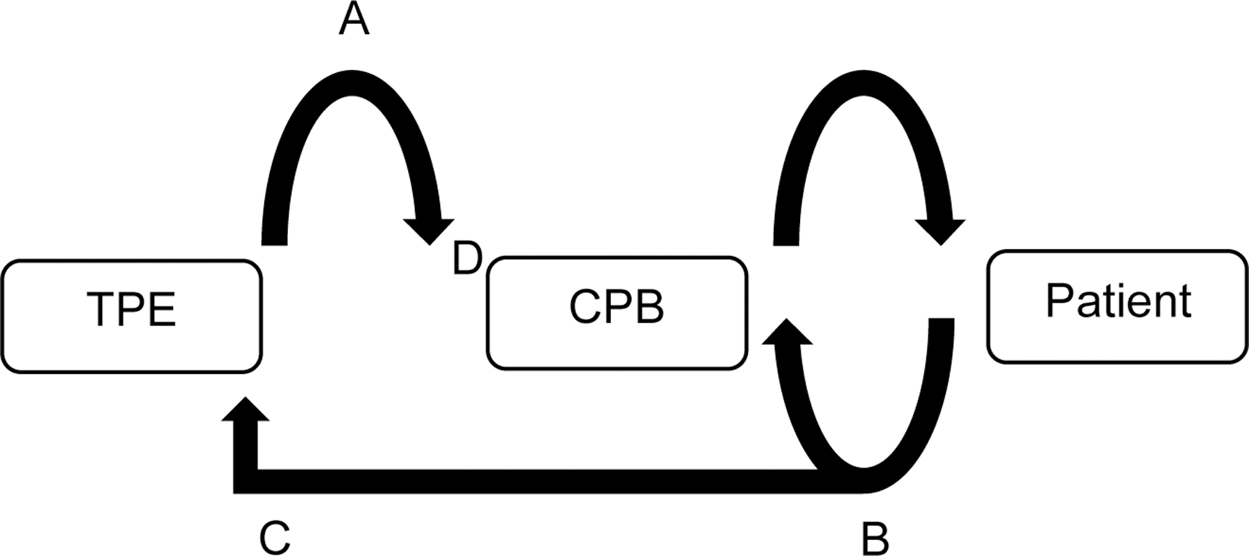 Figure 1B: