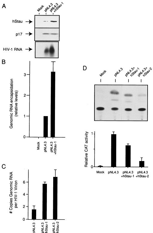 FIG. 8