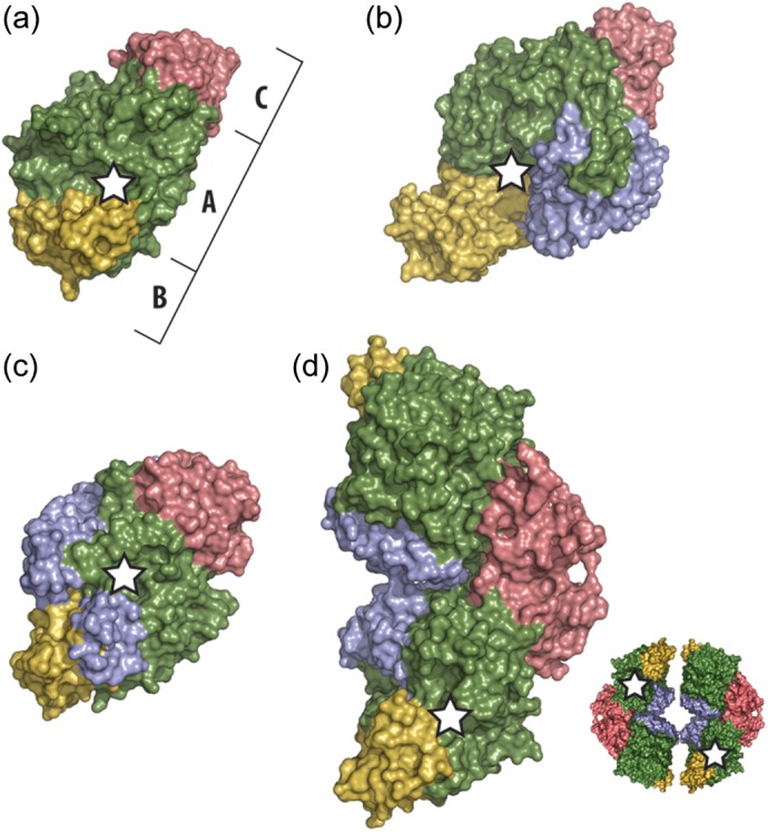 Fig. 3.