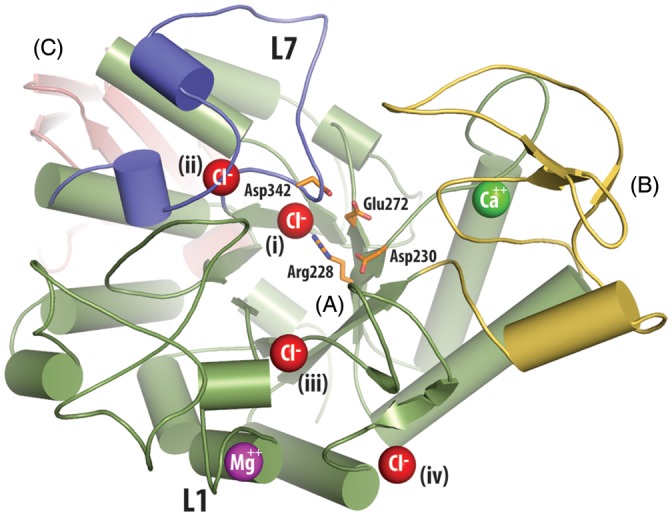 Fig. 4.