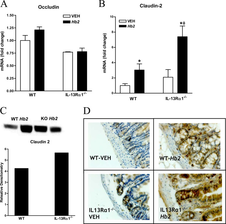 FIG 6