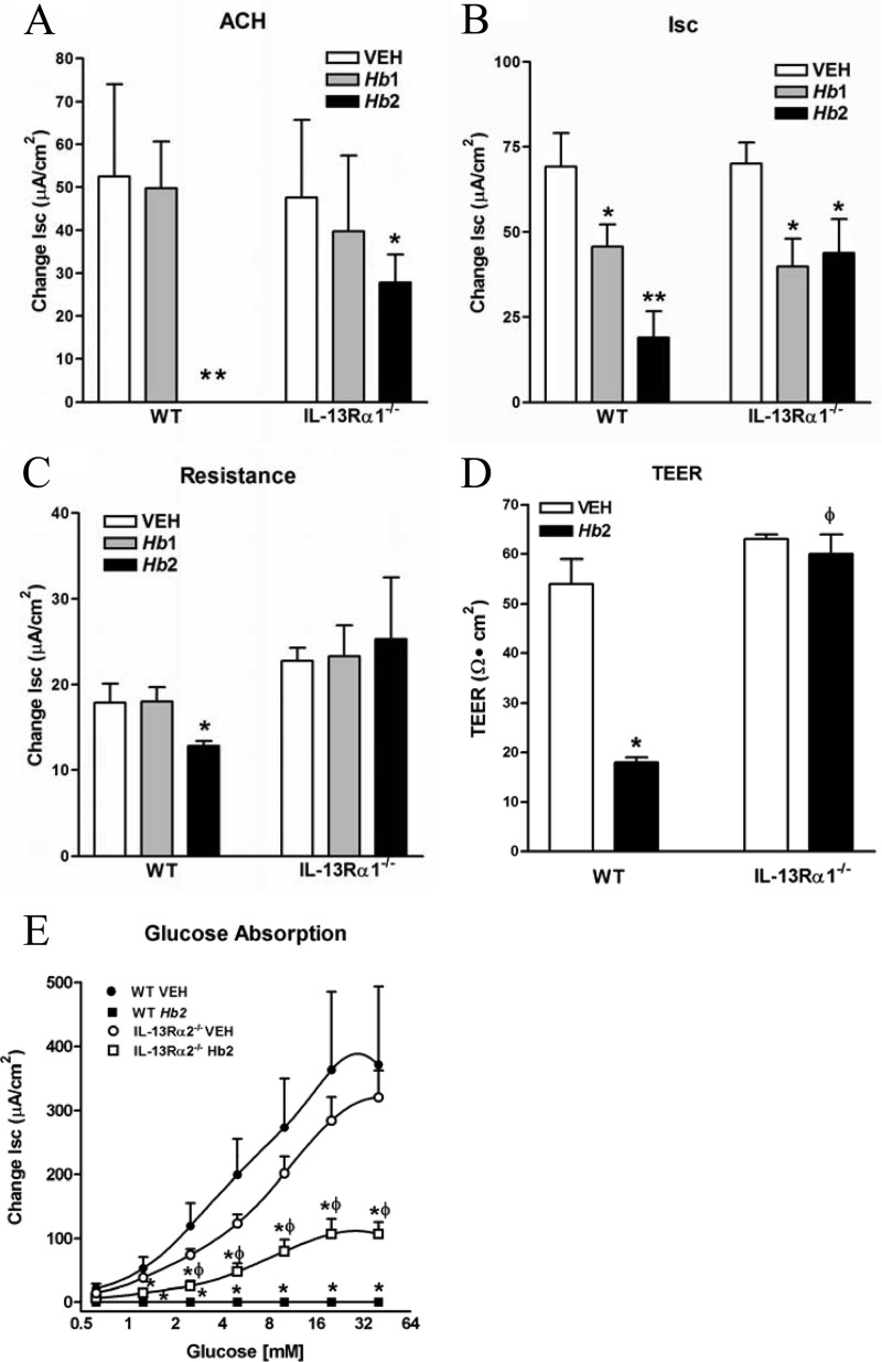 FIG 5