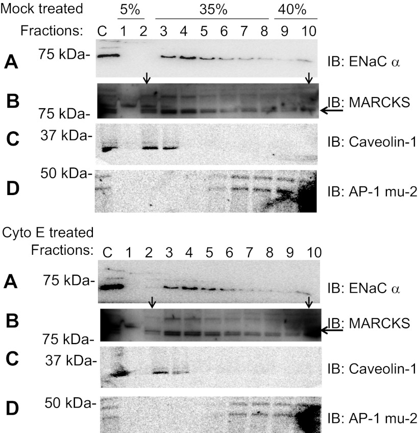 Fig. 10.