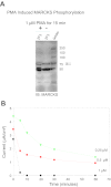 Fig. 11.