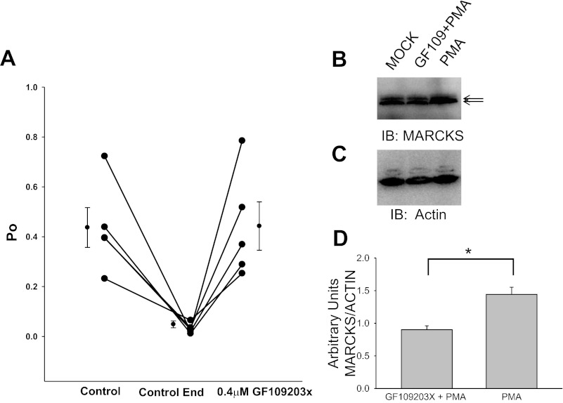 Fig. 12.