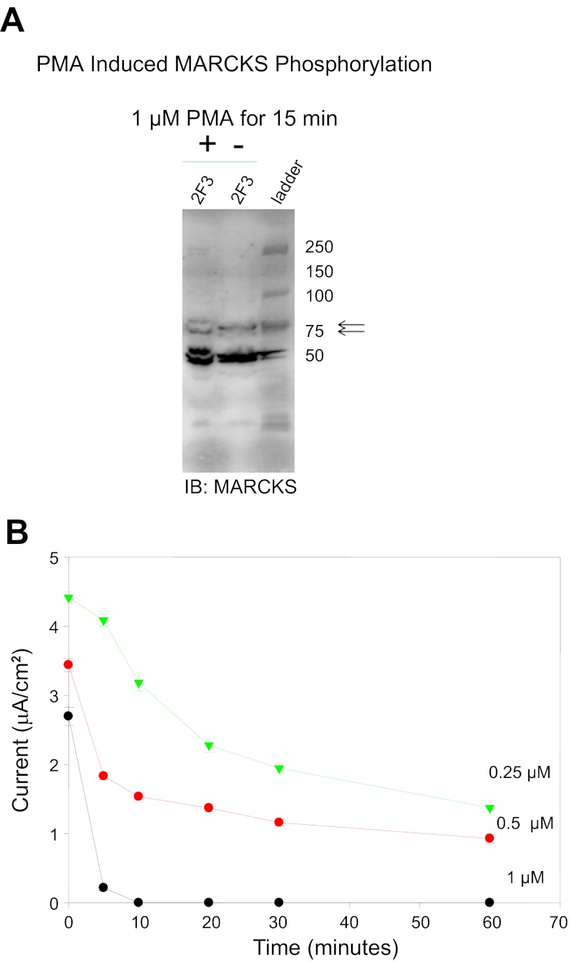 Fig. 11.