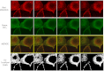 Fig. 8.