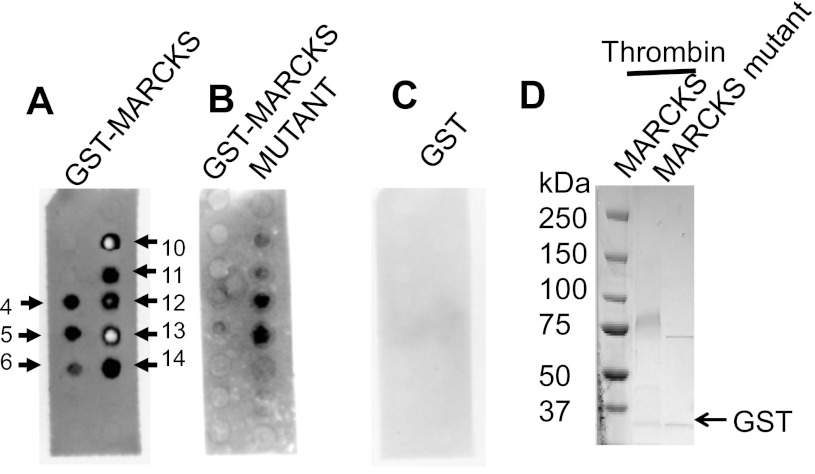 Fig. 5.