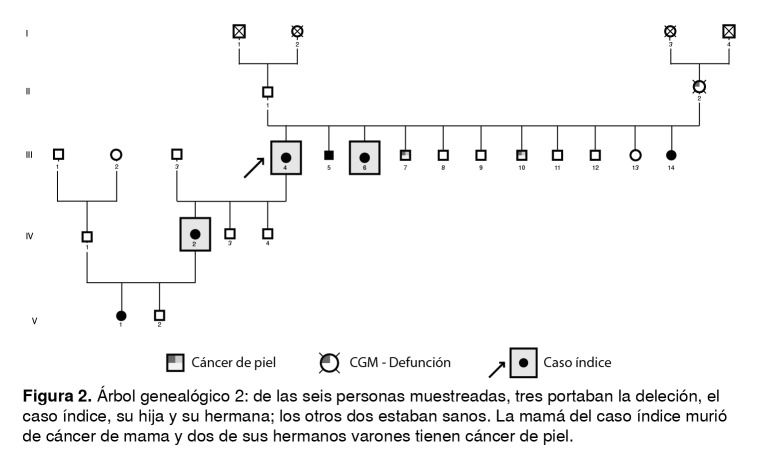 Figura 2