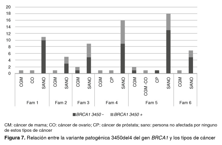 Figura 7