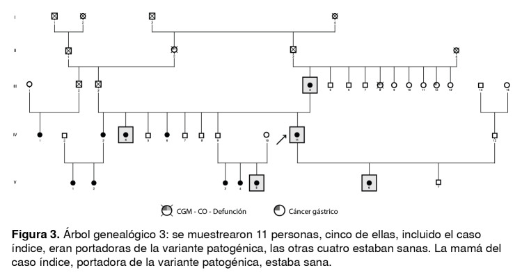 Figura 3