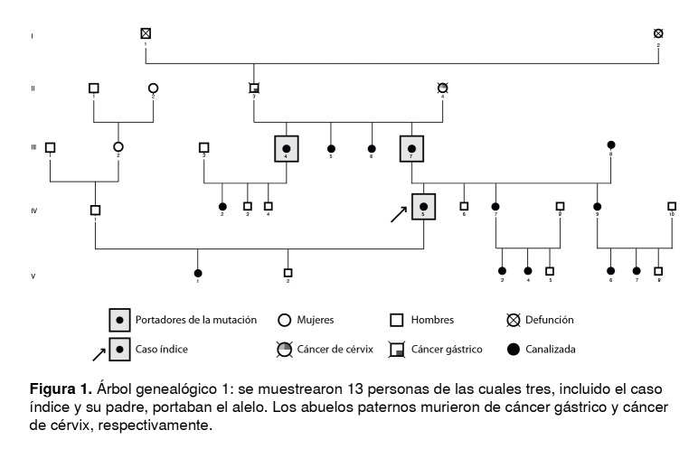 Figura 1