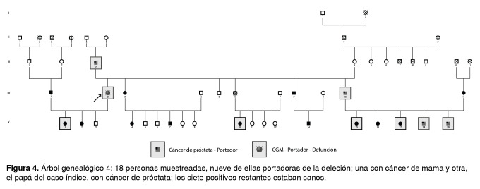 Figura 4