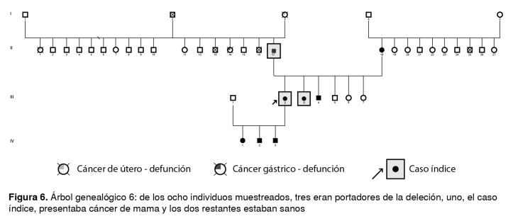 Figura 6