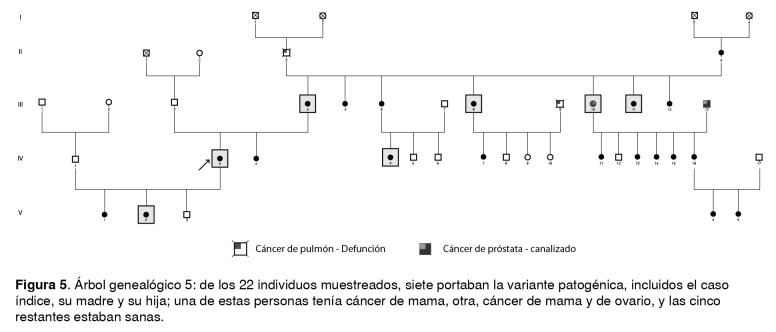 Figura 5