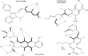 Figure 7A