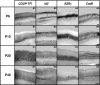 Figure 11.