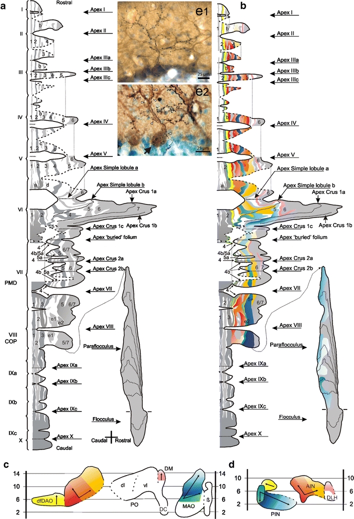 Fig. 2.