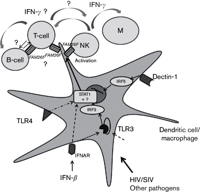 Fig. 6.