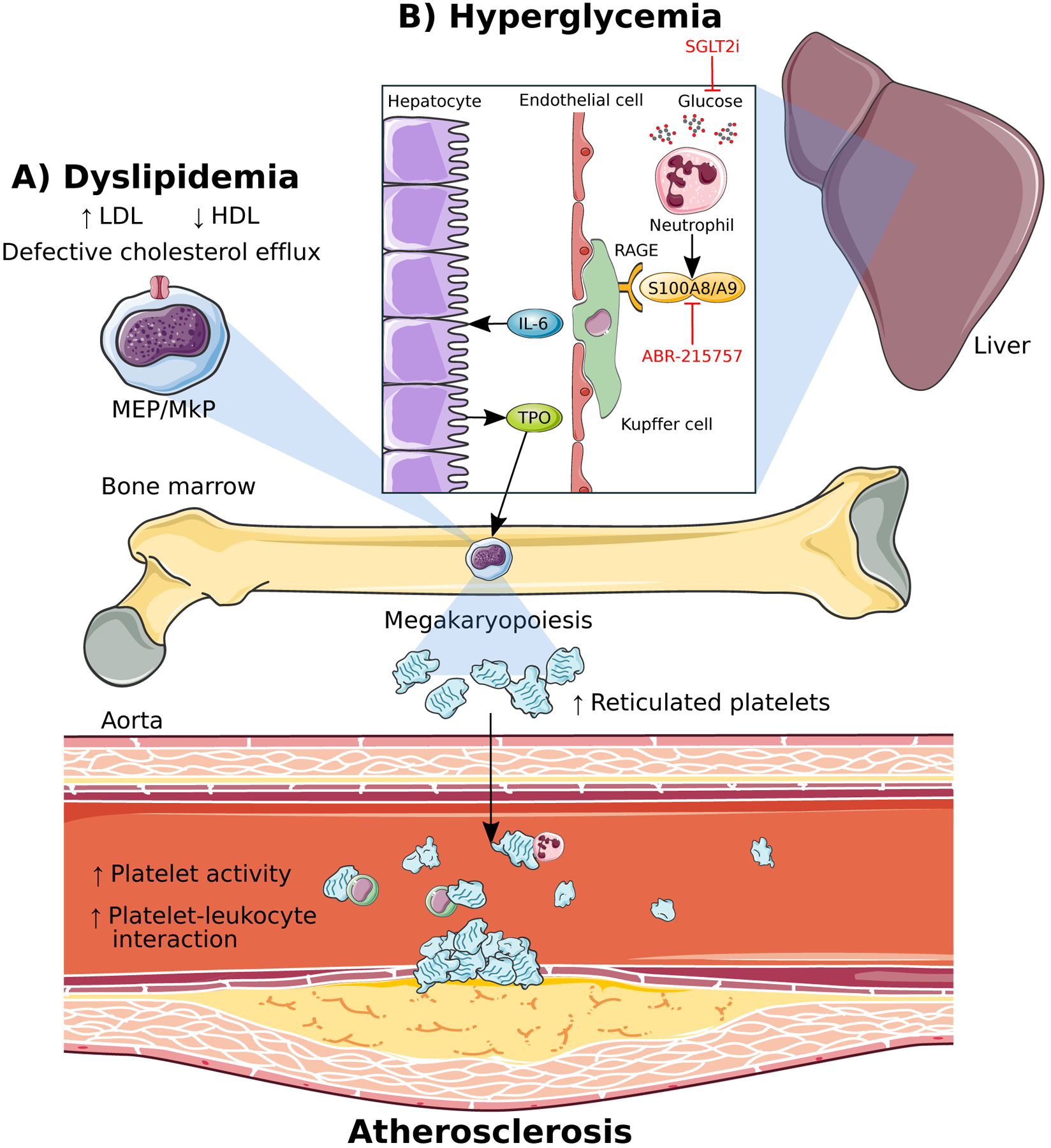 Figure 2: