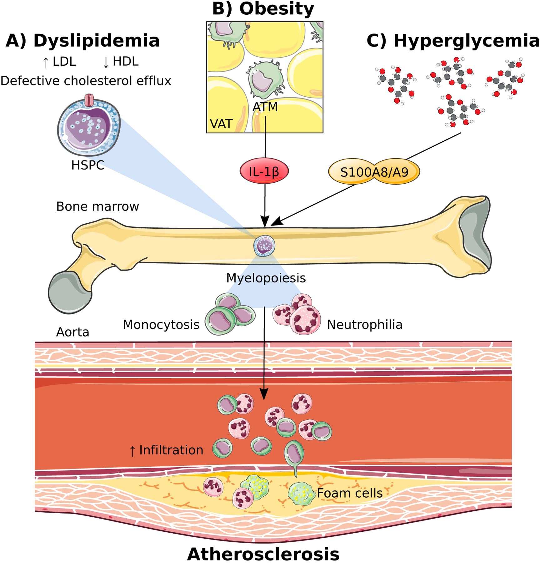 Figure 1: