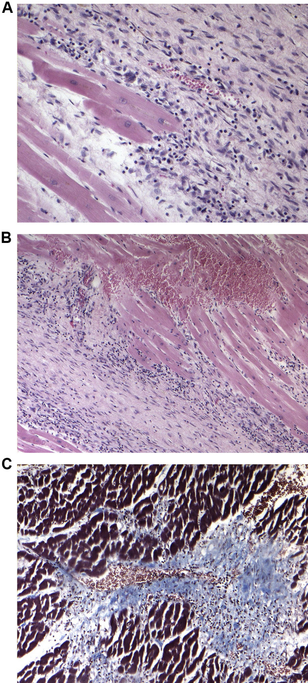 Fig. 3