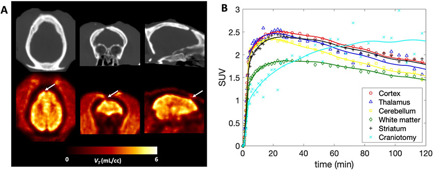 Figure 5: