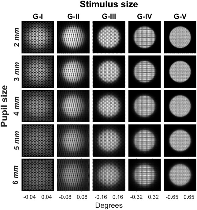 Figure 2.