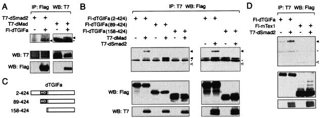 FIG. 9.