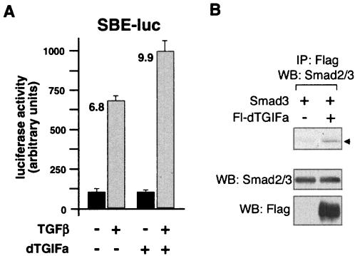 FIG. 8.