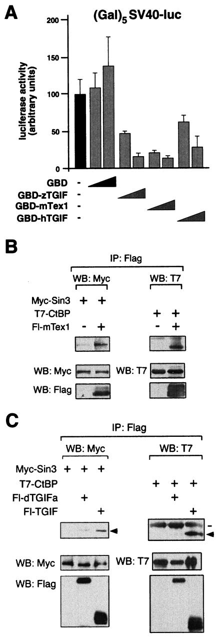 FIG. 7.