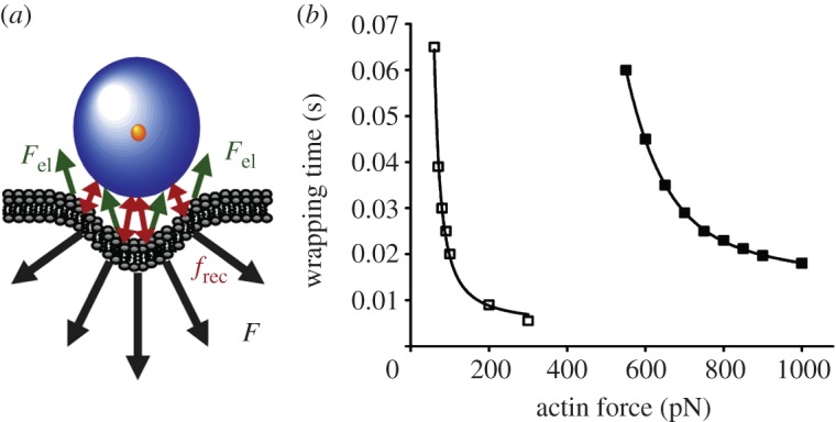 Figure 5.