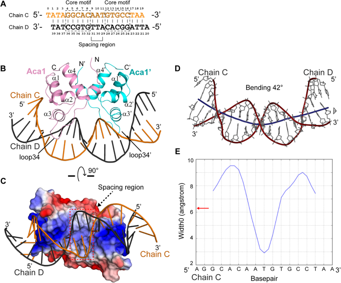 Figure 2