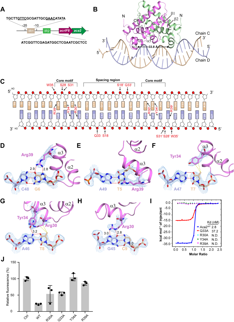 Figure 6