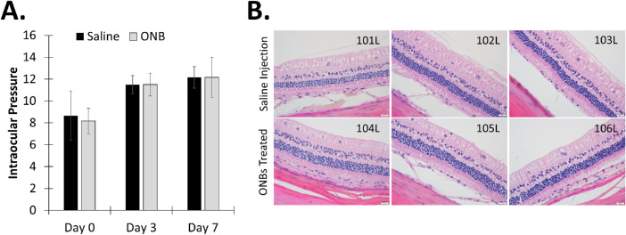 Figure 9.