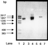 FIG. 7.