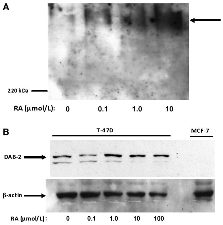 FIGURE 3