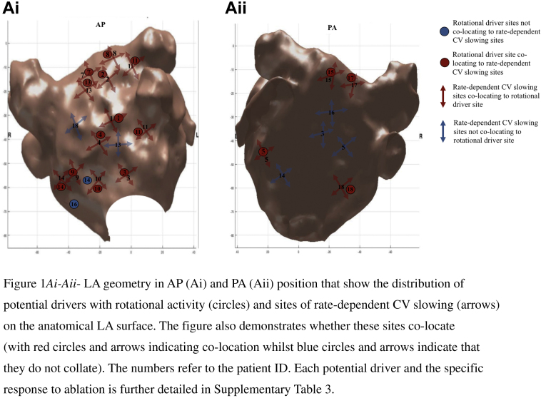 Supplemental Figure 1