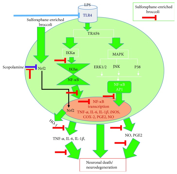 Figure 10