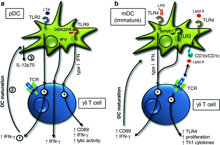 Fig. 2