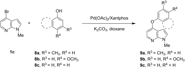 graphic file with name Beilstein_J_Org_Chem-08-2004-i082.jpg